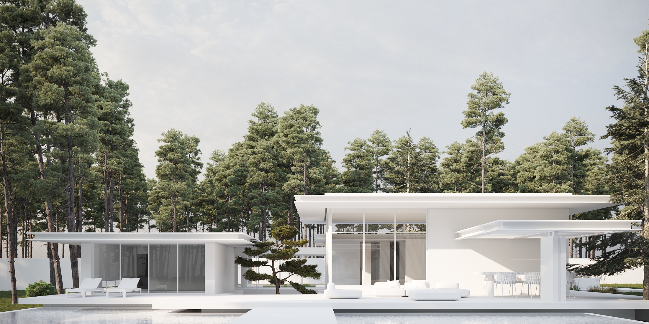 About Video Background